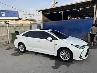салон w124: Toyota Corolla: 2019 г., Гибрид, Седан — 4