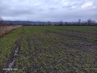 Torpaq sahələrinin satışı: 200 sot, Kənd təsərrüfatı, Texniki pasport — 10