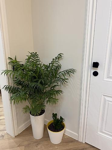 14: 2 комнаты, 50 м², Тунгуч мкр Элитка, 13 этаж, Дизайнерский ремонт — 8