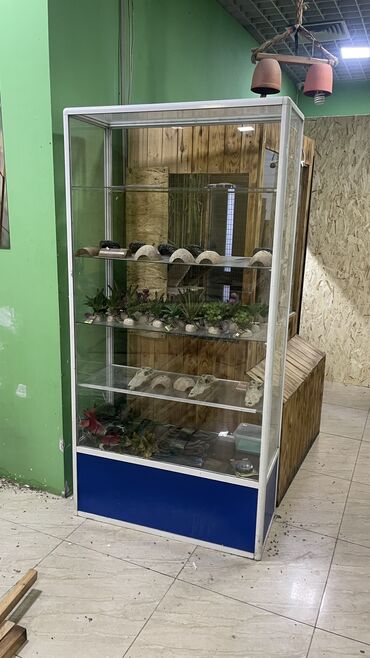 морозильная камера бишкек цена: Торговая витрина б/у самовывоз. Гум5 этаж