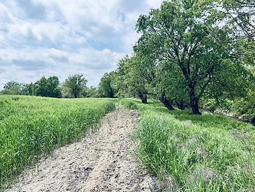 Torpaq sahələrinin satışı: Kənd təsərrüfatı, Kupça (Çıxarış) — 10