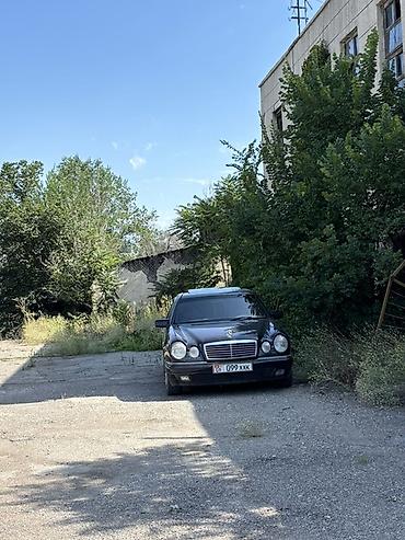 cub: Mercedes-Benz E-Class: 1998 г., 5 л, Автомат, Бензин, Седан — 5