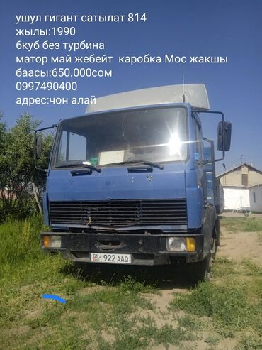 тоета авенсис: Mercedes-Benz : 1990 г., 6 л, Дизель, Фургон