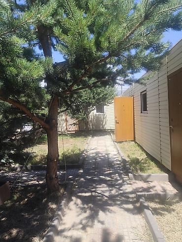 дом комната: Комната/домик для проживания на территории базы отдыха.1- линия — 3