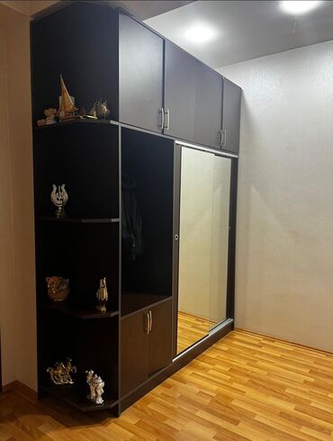 Soyuducular: Dehliz dolabı. 150azn Ölçü 260/2m. yaxsi veziyyetde. teçili evden
