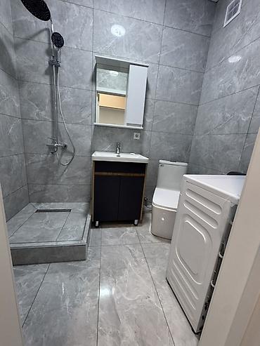 Долгосрочная аренда квартир: 1 комната, С мебелью полностью — 14