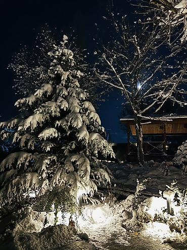 Долгосрочная аренда домов: 160 м², 4 комнаты, Бассейн, Бронированные двери, Забор, огорожен — 21