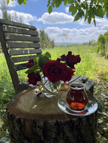 Günlük kirayə evlər: 70 kv. m, 3 otaqlı, Artezian quyusu, Su, Qaz — 20