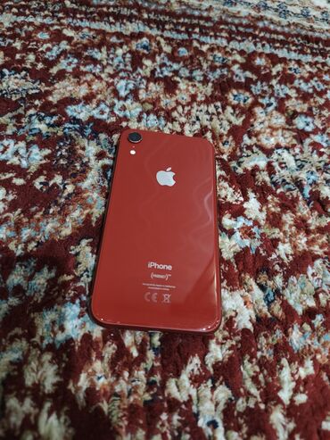 m1 м1: IPhone Xr, Колдонулган, 64 ГБ, Кызыл, Коргоочу айнек, Каптама, 81 %