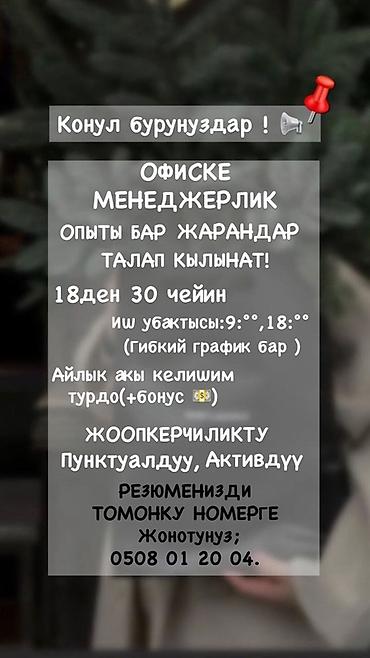 Офис-менеджер