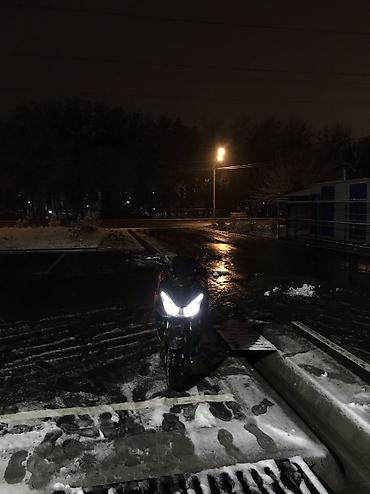 Скутеры: Макси-скутер 150 куб. см, Бензин, Б/у — 8