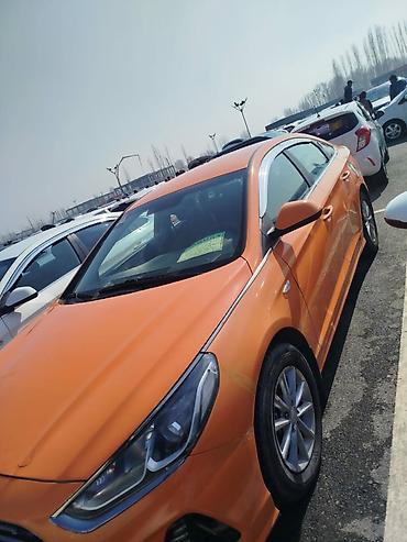 Hyundai: Hyundai Sonata: 2019 г., 2 л, Автомат, Газ, Седан — 7