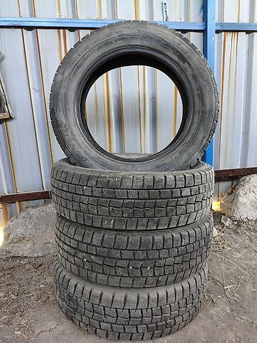 бир: Комплект зимних шин Dunlop проездил 1,5 месяца в идеальном состоянии — 2