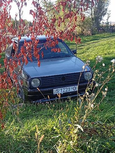 люк бмв: Volkswagen Golf: 2026 г., Хэтчбэк — 2