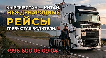 работа за границей водитель: Требуется Водитель грузового транспорта, Категория прав (CE) — 1