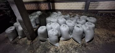 поздравления мишка: Песок, Ивановский карьер, В мешках, Зил