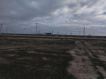 Torpaq sahələrinin satışı: Tikinti, Kupça (Çıxarış) — 5