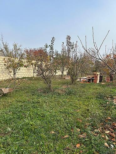 Torpaq sahələrinin satışı: Tikinti — 19