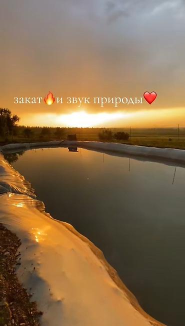 Продажа сельхоз предприятий: Питомник растений, 220 соток, Действующий, Частично с оборудованием, Электричество, Холодная вода — 16