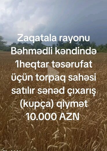 Torpaq sahələrinin satışı: Kənd təsərrüfatı, Mülkiyyətçi, Kupça (Çıxarış)