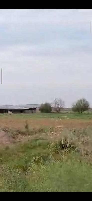 arenda koşk: Ferma/Göyçayda 260 hektar sahədə ferma bütün avadanlıqlarla və fermada — 7