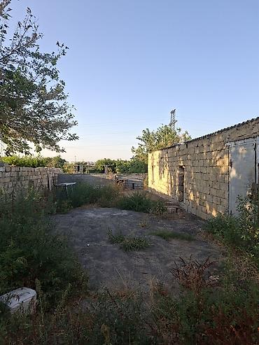 bakida: 3 sot, Tikinti, Kupça (Çıxarış) — 4