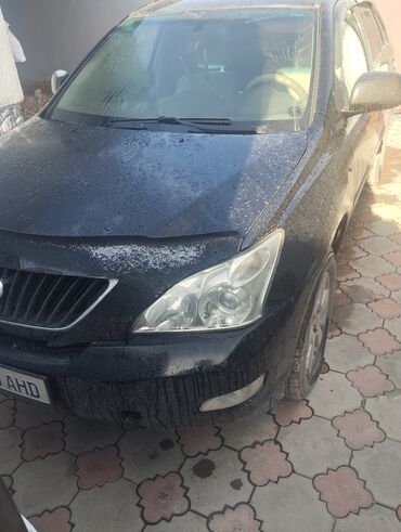 topy v sinjuju polosku: Lexus RX: 2007 г., 3.5 л, Бензин