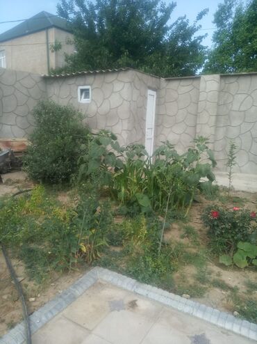 Uzunmüddətli kirayə mənzillər: Novxanıda həyətyanı sahəsi olan iki otaqlı ev kirayə verilir.həyətdə