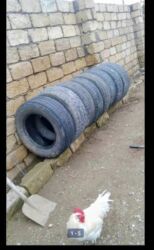 təkər lassa: Prado təkərləri ikinci əl qiymət cəminə aiddir