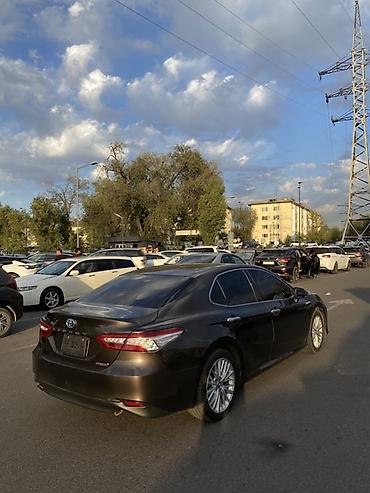 тайота камри 50 55: Toyota Camry: 2018 г., 2.5 л, Вариатор, Гибрид, Седан — 6