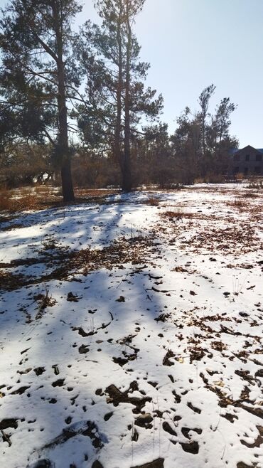 Продажа участков: 9 соток, Для бизнеса, Красная книга at lalafo.kg — 28 Продажа участков: 9 соток, Для бизнеса, Красная книга — 28