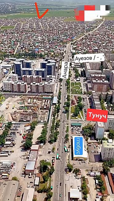 ново павловка заря: 4 соток, Красная книга — 6