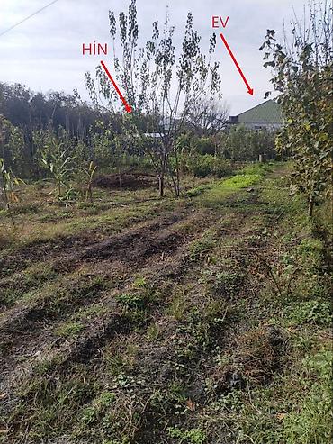 lənkəran hovuzlu ev: 8 otaq, 160 kv. m, Kredit yoxdur, Yeni təmirli — 6