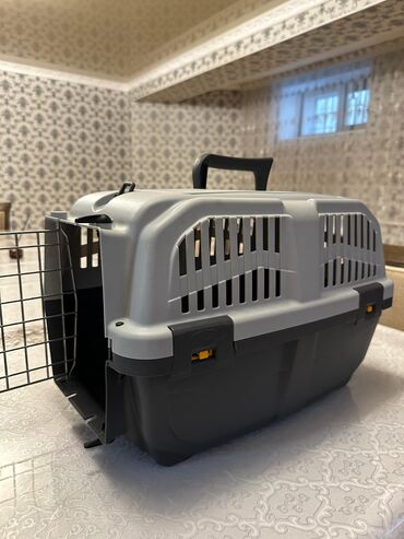 британская короткошерстная кошка купить: Продаю переноску. Идеального качества. Использовали пару раз