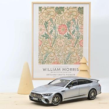 gitare cena: 🚗 Mercedes-AMG GT 63 4MATIC 2021 – Srebrna | Norev 1:18 Norev — 1