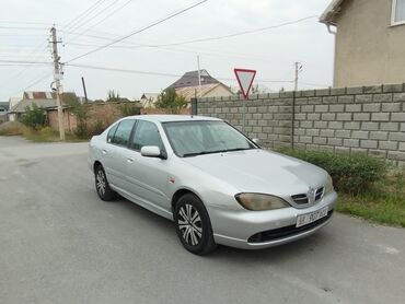 ниссан альмера тино дизель: Nissan Primera: 2001 г., 1.8 л, Механика, Бензин, Седан