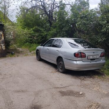 Nissan: Nissan Primera: 2001 г., 1.8 л, Механика, Бензин, Хэтчбэк — 10