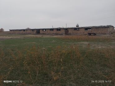 дом на прокат: Сдаю в аренду кошару на длительный срок. Возможно продажа пдробности