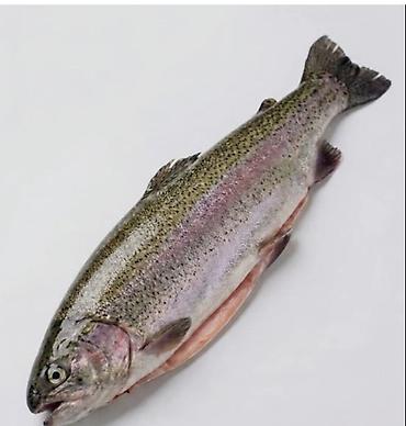 балыкчы пляж: СВЕЖАЯ ФОРЕЛЬ ИЗ ИССЫК-КУЛЯ С ДОСТАВКОЙ В БИШКЕК! 🐟 Попробуйте — 1