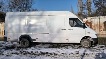 Mercedes-Benz: Mercedes-Benz Спринтер: 1997 г., 2.9 л, Механика, Дизель, Бус