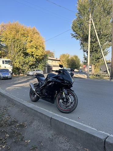 mt 09: Спортбайк Ducati, 250 куб. см, Бензин, Взрослый, Новый — 1