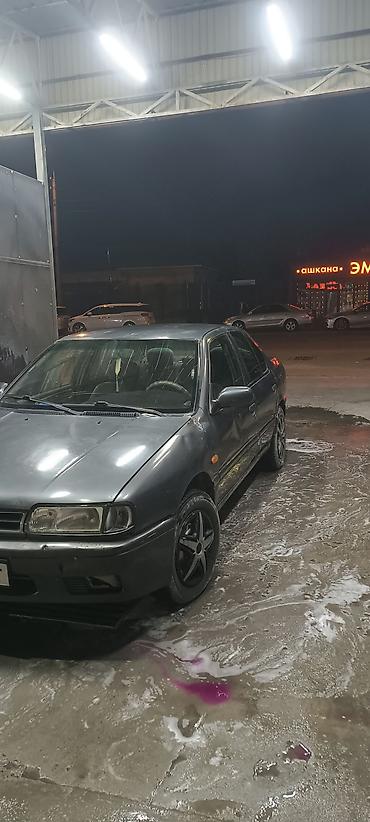 primera p10: Nissan Primera: 1995 г., Седан — 4