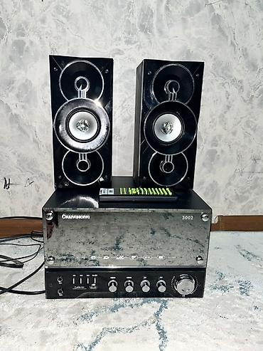 rush wave: Домашняя аудиосистема CHANGHONG 3002 Комплектация: - Два — 2