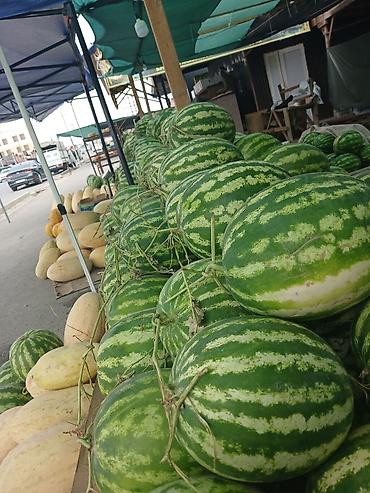 фрукты в корзине: Арбузы Оптом, Самовывоз — 1
