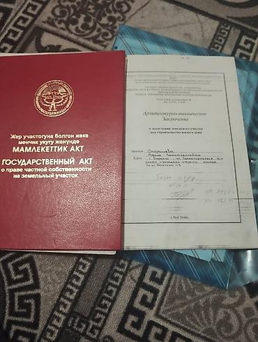 чон арыке: 14 соток, Курулуш, Кызыл китеп — 1