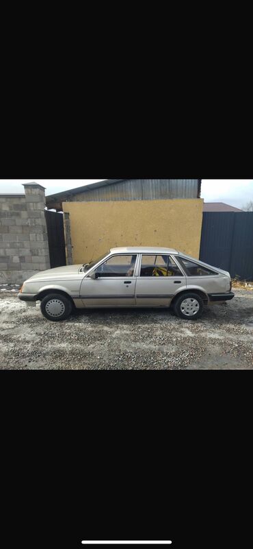 Opel: Opel Ascona: 1990 г., 1.3 л, Механика, Бензин, Хэтчбэк