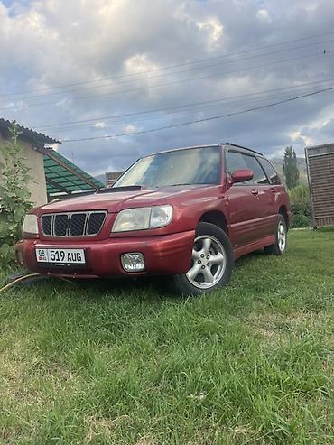 форестер 2006: Subaru Forester: 2000 г., 2 л, Автомат, Бензин, Универсал — 1