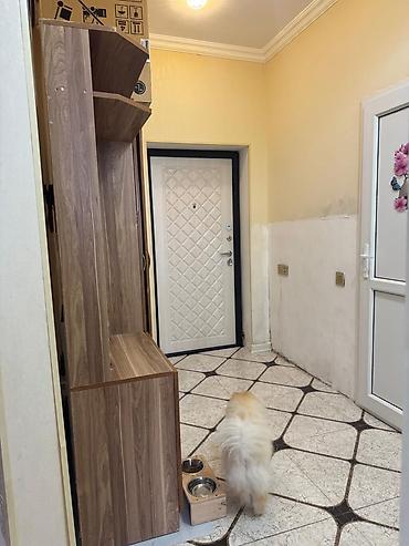 asılqan qarmaq: Dəhliz üçün çoxfunksiyalı giriş dolabı (mətbəx rəngi – qoz/taxta — 5