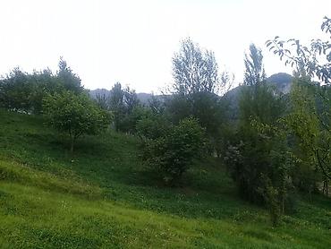 Torpaq sahələrinin satışı: 14 sot, Tikinti, Mülkiyyətçi, Kupça (Çıxarış) — 2