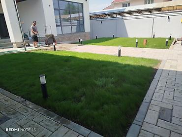 Семена газона: 🌱Теневой газон PARK - для участков где из-за отсутствия попадания — 8